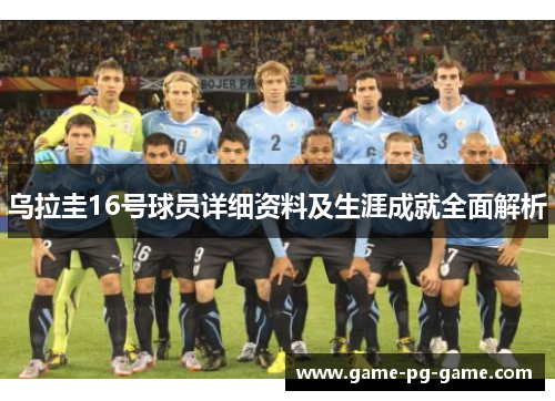 乌拉圭16号球员详细资料及生涯成就全面解析