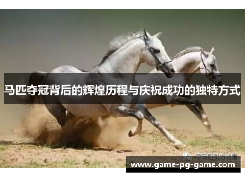 马匹夺冠背后的辉煌历程与庆祝成功的独特方式
