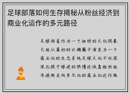 足球部落如何生存揭秘从粉丝经济到商业化运作的多元路径